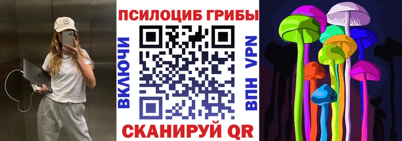 Псилоцибиновые грибы Psilocybe  где можно купить наркотик  Торопец 